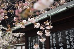 Japan introduces new regulatio
