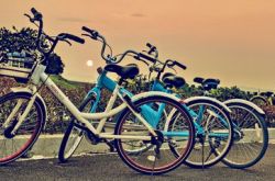 Sharing bicycles may be the craziest trial and error in the history of Chinese entrepreneurship