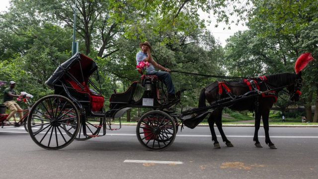 New York's 'Romanch's Law' Spa