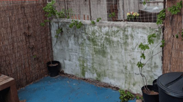 Transforming Outdoor Spaces: A