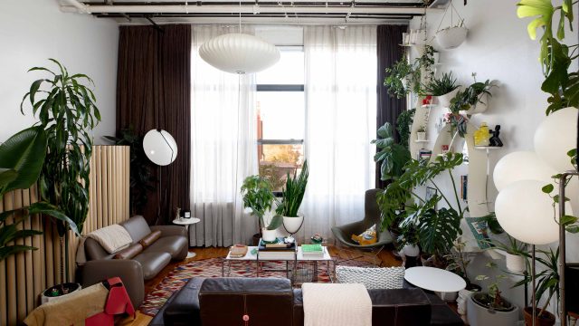 Transform Your Space: The Allure of IKEA's Affordable FADO Lamp