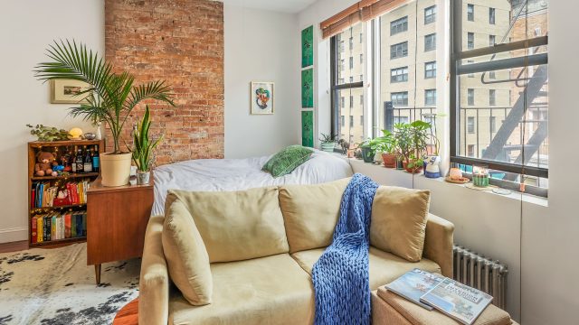 Transforming Tiny Spaces: Innovative Pet-Friendly Decor Ideas