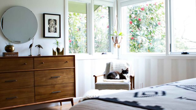 Transforming Pet Care: A New Era for Litter Boxes