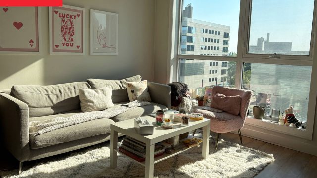 Transform Your Space: A Revolutionary Clutter-Reducing Technique