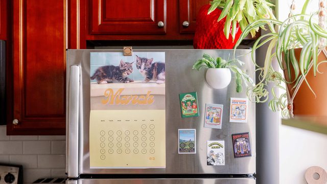 Revolutionize Your Freezer Organization with a Simple Dollar Tree Hack