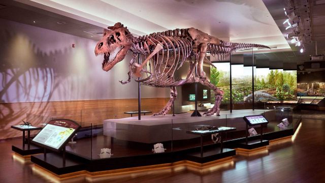 Experience Cultural Richness with Bank of America’s Museums on Us Initiative