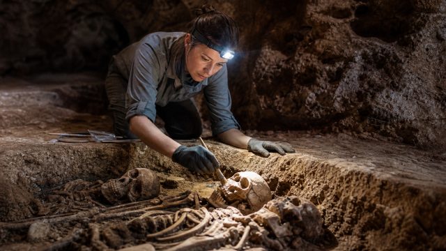 Discovery of All Female Homo N